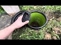 Simple Dog Septic System