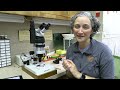 Paleoethnobotany with Dr. Kandi Hollenbach