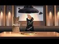 猫ミーム焼肉打ち上げ歓迎会！【猫ミーム】【猫マニ】