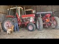 The Mighty IH 1460 Combine: Spring Corn Harvest Edition