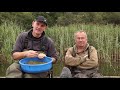 Tench Fishing : Feeder Fishing