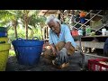 The Sweetest Roasted Coconut Water In The World - Thai Street Food