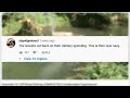 Epic comments on Lion & Leopard fall from tree