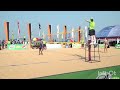 Epic beach Volleyball | bikini volley