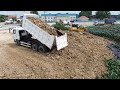 EP 3| Best incredible Project Update by Amazing Bulldozer SHANTUI With many Dump Trucks unloading