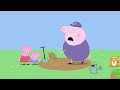 Świnka Peppa | Nocowanie | Bajki Po Polsku | Peppa po Polsku