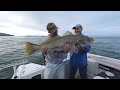 Fishing Edge Episode - Fishing For Mulloway On Live Baits