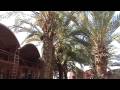 Marrakech, Morocco: Jemna El Fna, the medina and popular quarters