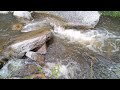 Rock Creek falls 21
