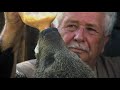 Beary Tales - An Unusual Nature Fairytale | Free Documentary Nature