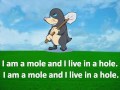 I am a mole and I live in a hole