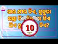 Odia Dhaga Dhamali Part 11 || 10 Tricky Questions || Odia Dhaga Katha || Clever Question and Answer