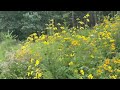 Lapham peak state park. Another paved trail