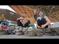 Two Vietnamese girls catch frogs in the fields for a living - Ha thi muon