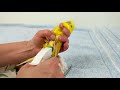 How to Remove a Broken Blood Feather