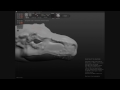 Sculptris: T Rex