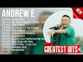 Andrew E Album 🍂❤️ Andrew E Top Songs 🍂❤️ Andrew E Full Album