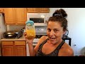 Plant Based on a BUDGET Meals! (What I Eat in a Few Days WFPB Starch Solution)