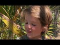 What Is A Habitat | Educational Videos for Kids