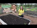 Beginner Gardening Raised Bed Do's & Don'ts