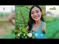 Ang FIRST AGRI-TOURISM DESTINATION sa Pilipinas | Costales Nature Farms | Agri Fam Episode 01