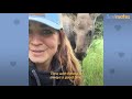 A Baby Moose Adopted This Woman as Her Mom | The Dodo Soulmates
