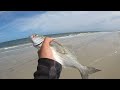 SOLO Beach Fishing.. Eating Whatever I Catch (Catch and Cook)