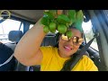 GUYANA 2024 - GEORGETOWN GUYANA Drive through / COOKING FOR THE ORPHANAGE - Part 2