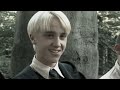 Y/n is still not over Draco