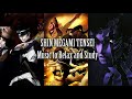 Shin Megami Tensei Music for Relaxing and Studying Vol.1