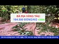 Giá hồ tiêu chiều ngày 17/6/2024|Giá tiêu bật tăng 3.000-3.500 đồng/kg ở các địa phương