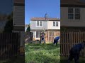 Removing a tree