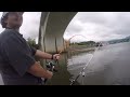 We Caught This HUGE CATFISH Under A Bridge