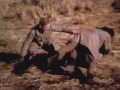 Forgotten Battle of the Aleutian Islands  | Alaska at War | WW2 Documentary in Color | 1943