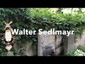 Walter Sedlmayr Grab - 2019