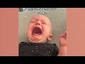 Funny Baby Videos - Try Not To Laugh With Funny Baby Videos Compilation