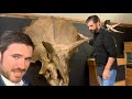 Paleontology Field Program (and Triceratops)