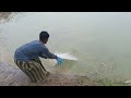 Most Popular Cast Net Fishing in Village Pond - Net Fishing with Beautiful Natural