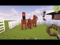 Breeding more genetic ponies! Minecraft