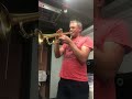 The Rose // Yamaha trumpet ytr-8310z (Bobby Skew)