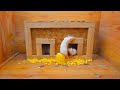 3-Hours Cat Tv for cats to Watch | 🐭 Mouse Hide and Seek in Wood House with 2 Windows 🏡😺