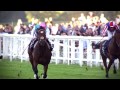 The Frankel Story - BBC Sport