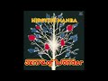 Sense of Wonder - Hiroyuki Nanba [難波弘之] - 1979 - Full Album