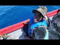 Offshore fishing with JUNIOR LIFESTYLE OF FISHING. Catch and cook