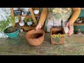 DIY - Plant pot made with wood sawdust