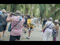 Carnival Mardi Gras 2023 Vlogs | Day 5 : Costa Maya