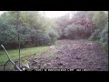 Spartan cam 9-1-21 bucks 3