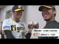 阪神タイガース名場面集2023