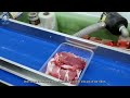 Great Food Processing Factory On Another Level ▶ 6