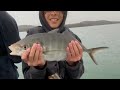 Catching Giant Snapper and Nannygai, Tasmania's waters are warming!!